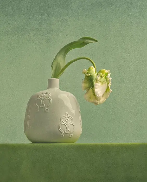 Ursula van de Bunte - Bending Grace