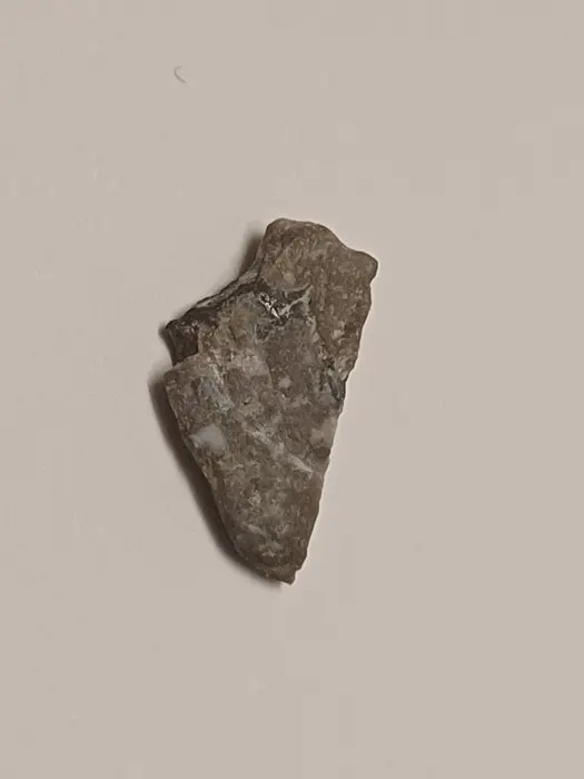 NEA 104 END CUT lunar meteorite troctolite EXTREMELY RARE...