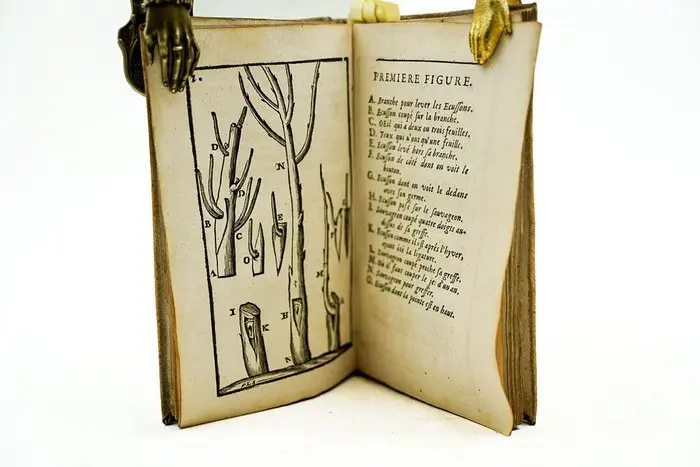 René Dahüron - Nouveau traité de la taille des arbres fruitiers - 1696