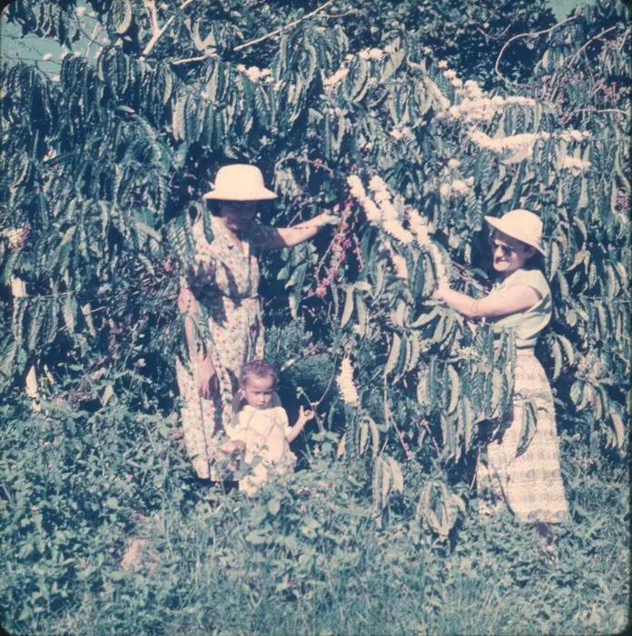 Photographe - Durst - Lot 44 photos anciennes couleurs...