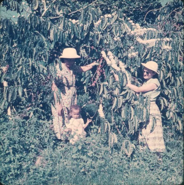 Photographe - Durst - Lot 44 photos anciennes couleurs...