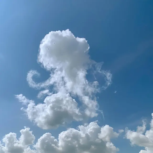 David Law - Magic Clouds - The Octopus