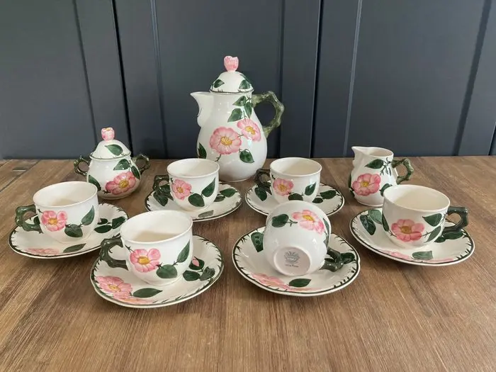 Villeroy & Boch - Cup and saucer (15) - Wild-Rose - Earthenware