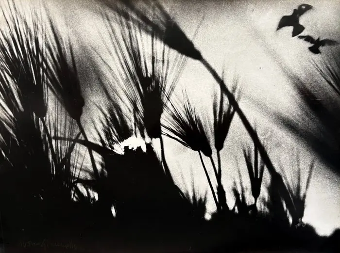 Mario Giacomelli (1925–2000) - Spoon River FIRMATA