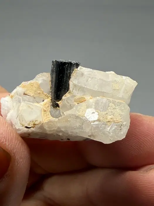 Black tourmaline on quartz Specimen- 19 g - (1)