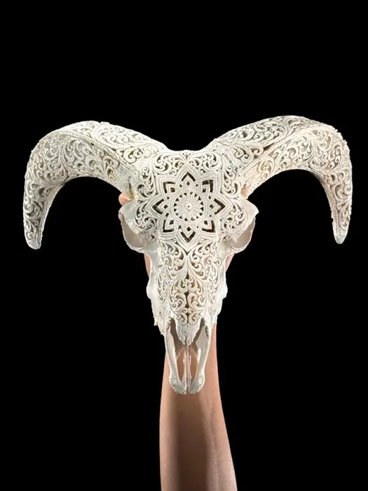 NO RESERVE PRICE - White Carved Ram Skull with Carved...