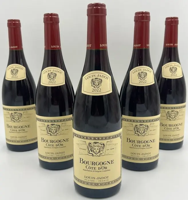 2022 Louis Jadot - Burgundy Côte-d'Or - 6 Bottles (0.75L)