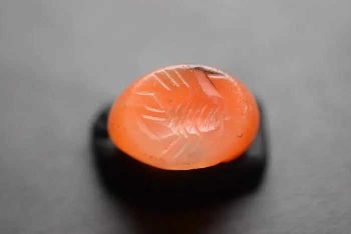 Sasanian Carnelian Ancient Sasanian Carnelian Stamp Seal Depicting a Scorpion