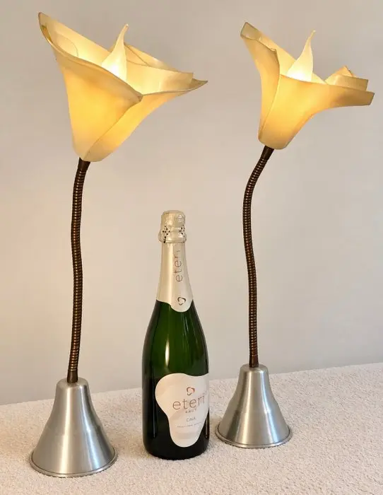 Table lamp (2) - Tulip lamps - acrylic, Steel - Set