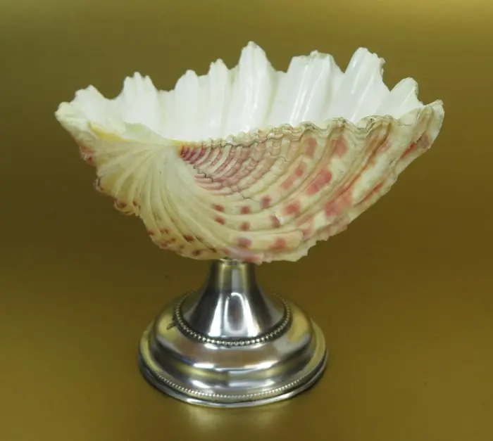 Presenteer schaaltje met schelp