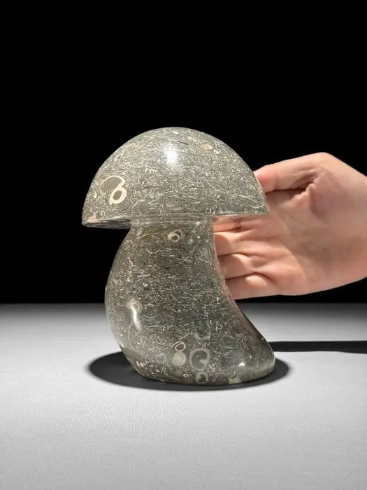 Hand-Carved Turritella Mushrooms Sculpture - Unique...
