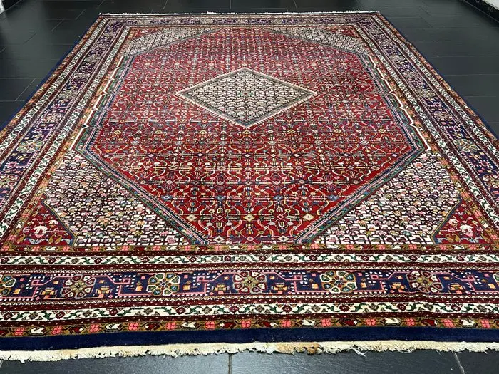 Gorgeous Moud (TOP) - Carpet - 350 cm - 250 cm
