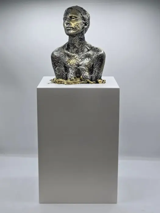 Thomas van Loon - Mirada