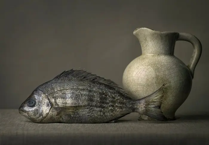 Tessa Posthuma de Boer - Fish #4