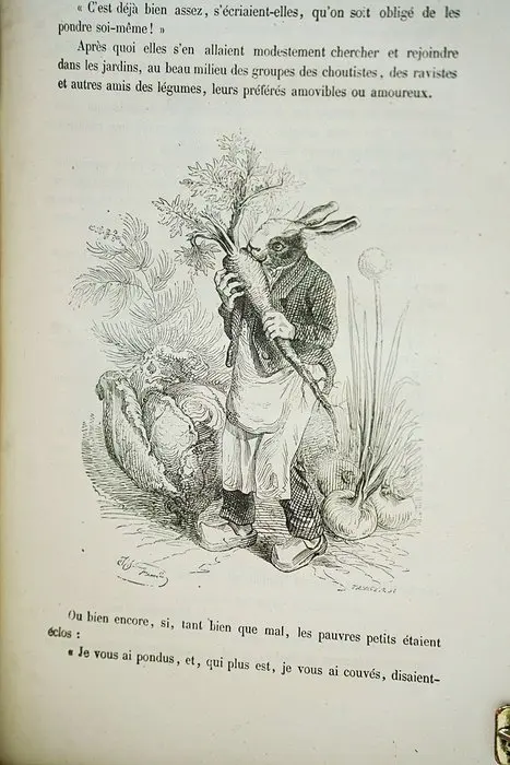 P. J. Stahl & Grandville - Vie privée et publique des animaux - 1868