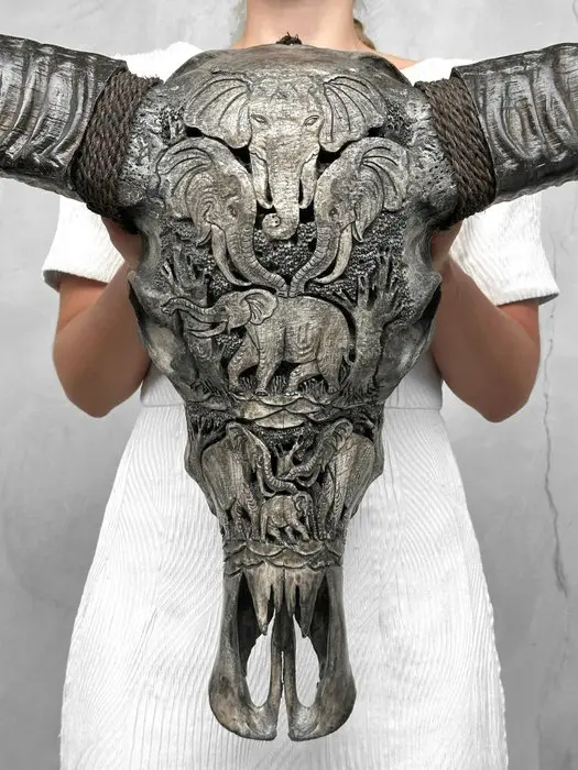 C - Extra Large Grey Carved Water Buffalo Skull...