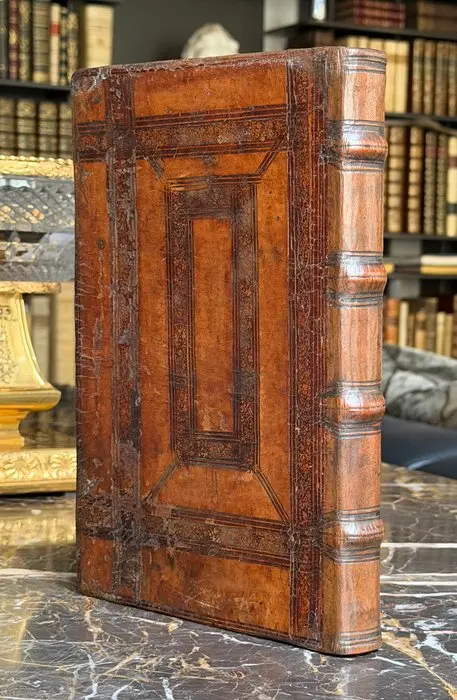 Erasmo - D. Caecilii Cypriani - 1558