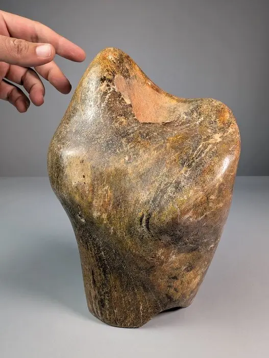 Sauropod Bone Freeform - Fossil bone - Sauropoda - 27 cm - 17 cm