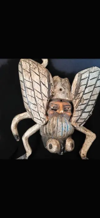 Moth Taxidermy wall mount - Farfalla - 60 cm - 40 cm - 20 cm - 1