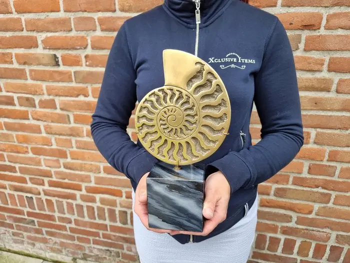 Sculpture, Bronze Ammonite Cast - 30 cm - Bronze, Marble