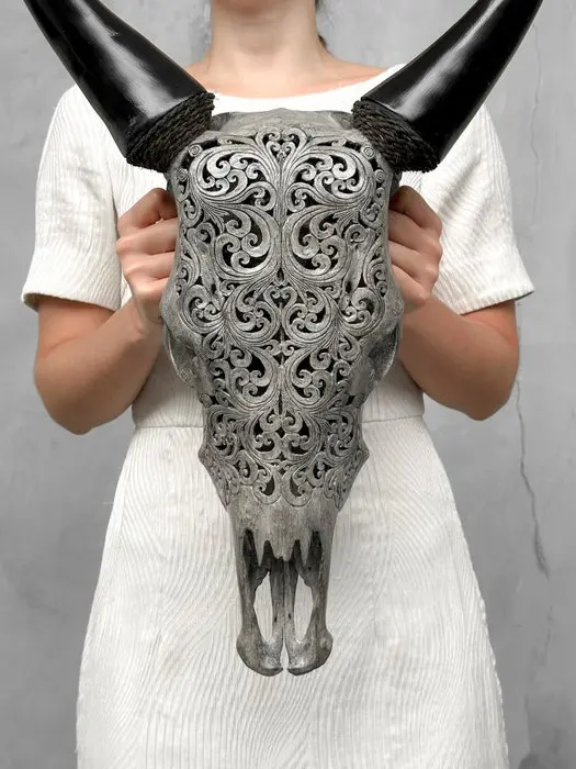 NO RESERVE PRICE - Authentic Grey Hand - Carved Cow Skull...