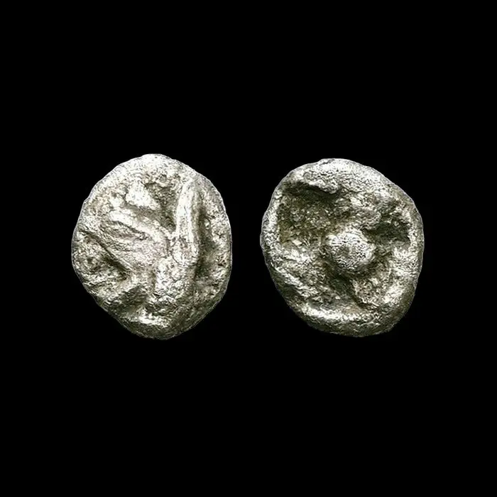 Ionia, Teos Tetartemorion Ca. 510-500 BC (No reserve price)