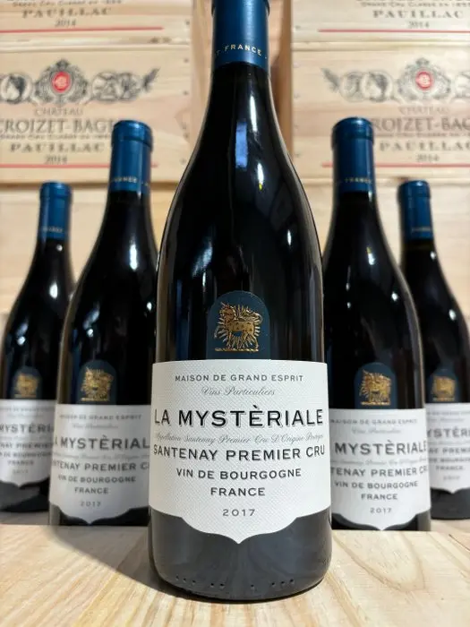 2017 Maison de Grand Esprit "La Mysteriale" - Santenay...