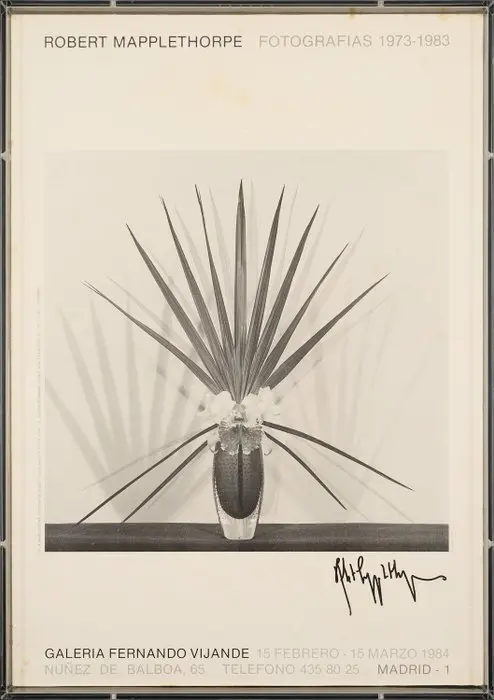 Robert Mapplethorpe (1946–1989) - Signed - Original Art...