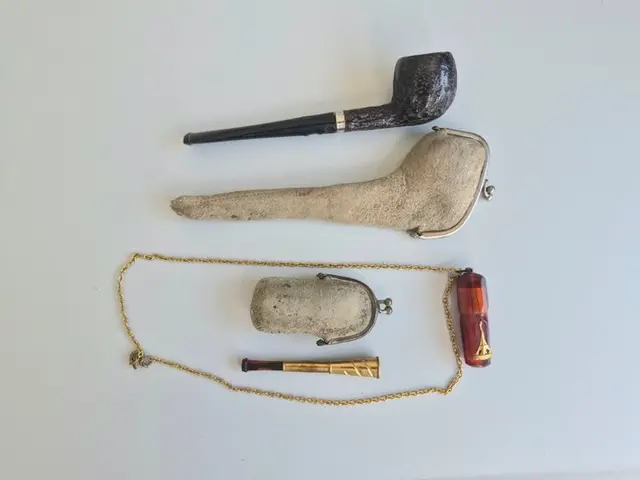 No reserve price - Pipe - Brass, Briar - (2)