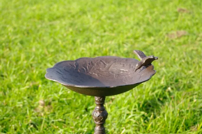 Birdbath - Cast iron