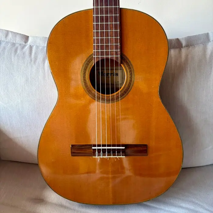 Morris - Luthier #80 - - Acoustic guitar - Japan - 1967
