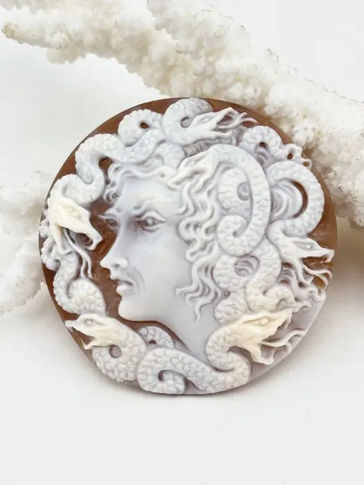 Medusa on Cassis madagascariensis - Cameo - Hand-carved cameo