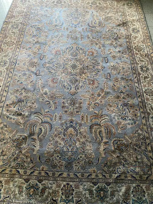 Sarouck - Carpet - 300 cm - 200 cm