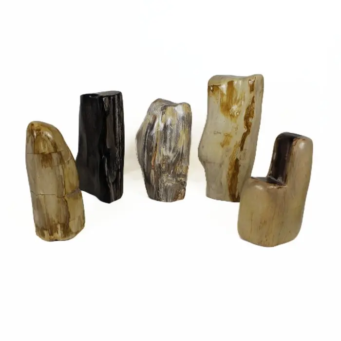 Polished Petrified wood freeform - Fossilised wood...