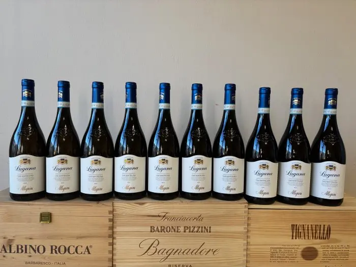 2025 Allegrini Lugana Oasi Mantellina - Lombardy - 10 Bottles (0.75L)