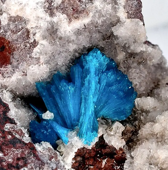 First quality electric blue Cavansite and Stilbite from...