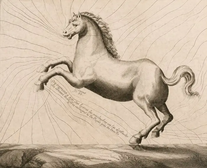 Solleysel - Le Parfait Mareschal - 1744