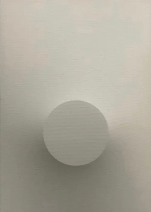 Alessandro Alteo (1997) - Monocromo Bianco - 673