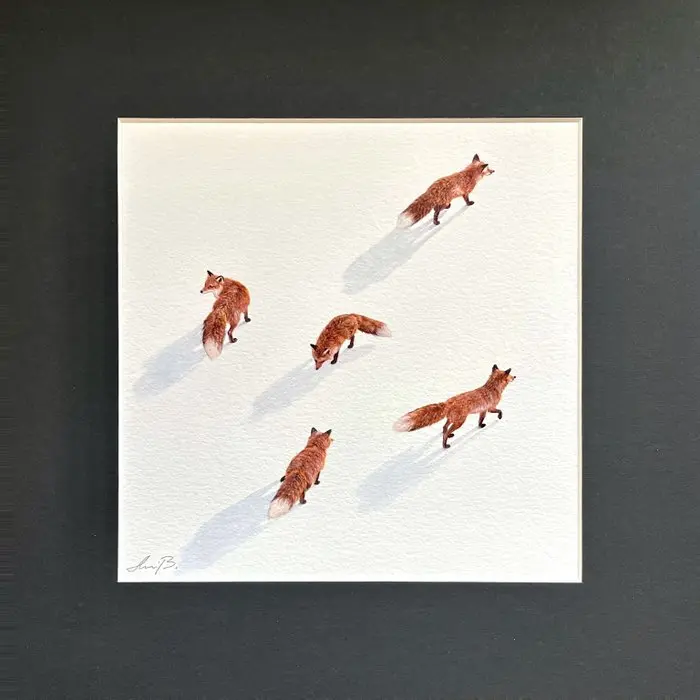 AniB. - FOXES on the Move