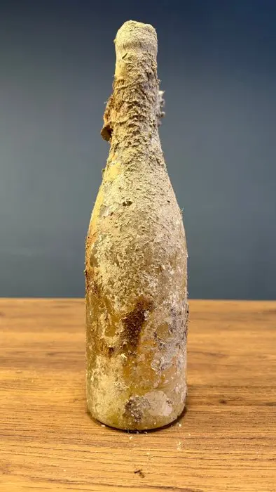 2021 Bodega Submarina del Mediterraneo - The Sea Wine Club