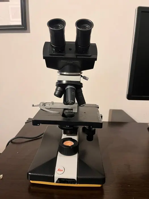 Binocular compound microscope - 110/120 - 1990-2000 - Germany - Leica, Leitz