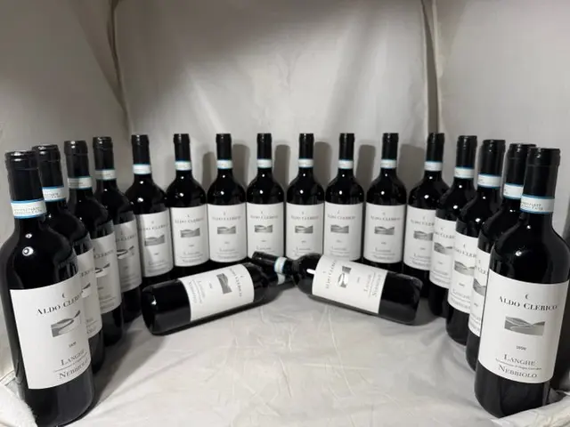2020 Aldo Clerico, Langhe Nebbiolo - Langhe - 18 Bottles (0.75L)