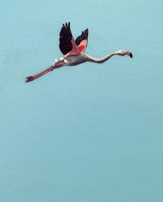 K.milla (XX) - "I Pink, Therefore I Am" - Flamingo