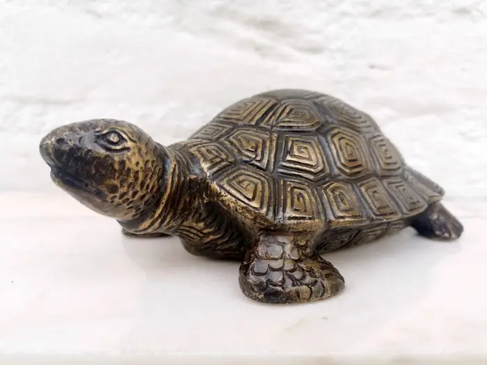 Statuette, Schildpad - 22 cm - Bronze