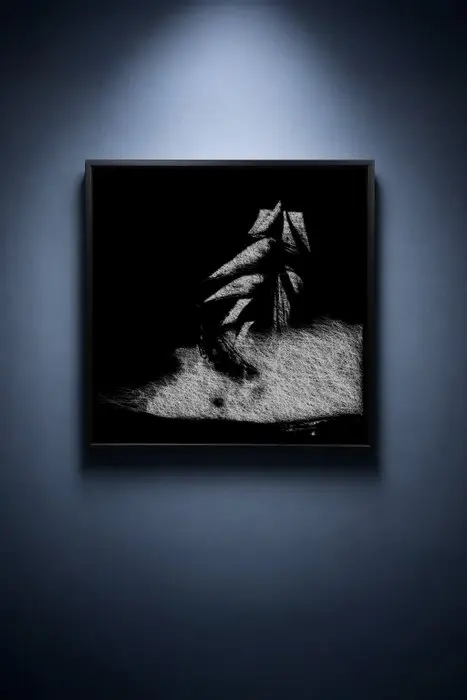 Tijs Dragtsma (1992) - A Prow Splits the Night