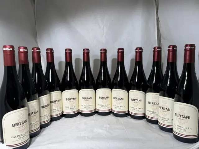 2023 Bertani Valpolicella Ripasso - Veneto - 12 Bottles (0.75L)