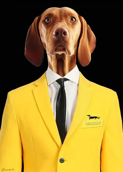 Bonaschi (1959) - Poltrona n°cod. 160222