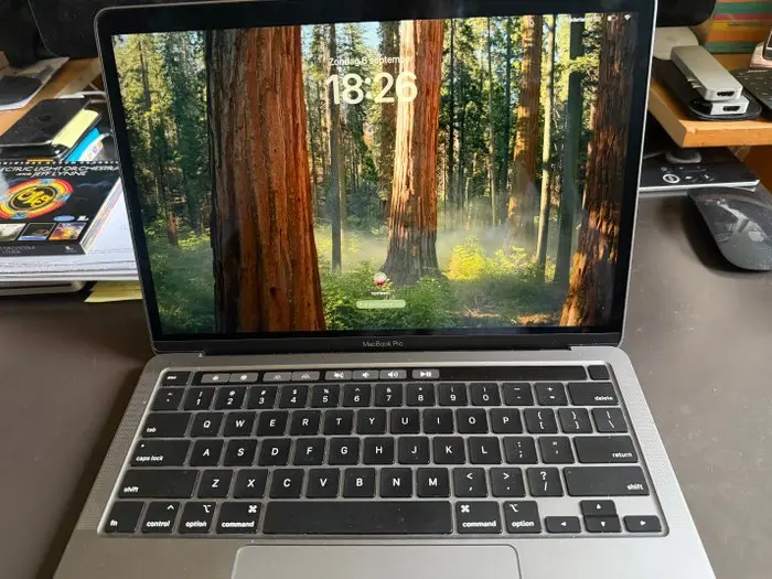 Apple Macbook Pro A2289 - Laptop