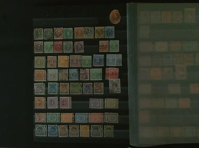 Stockbook - Dutch East Indies