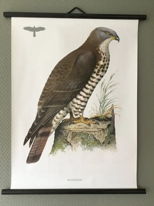 Kronen-Verlag Erich Cramer Hamburg
